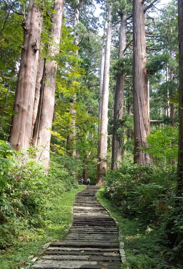 羽黒山の美しい登山道