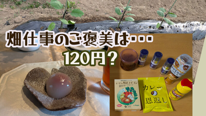 畑仕事のごほうび