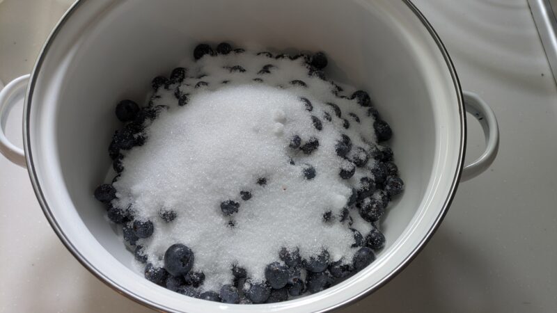 ブルーベリーとグラニュー糖