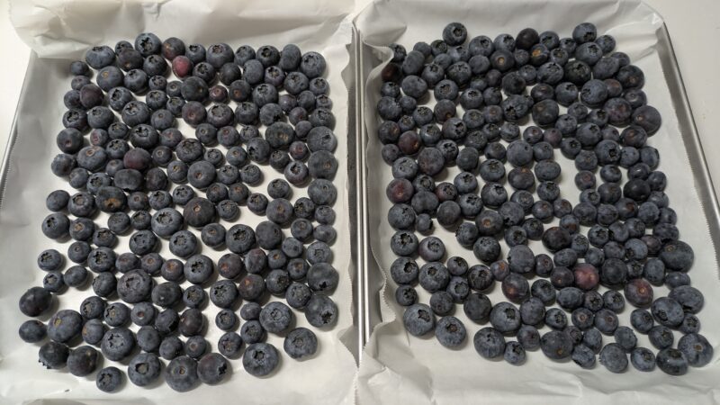 冷凍ブルーベリー
