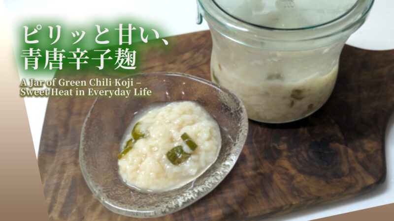 青唐辛子麹の記事のアイキャッチ