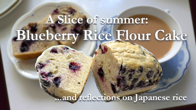 英語版ブルーベリーの記事のアイキャッチ