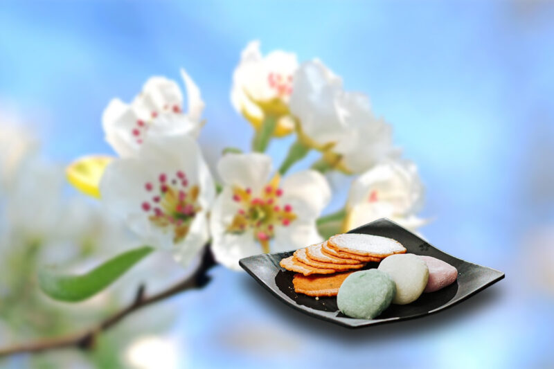 Traditional Japanese sweets and cherry blossoms—symbols of family, memory, and fleeting seasons.